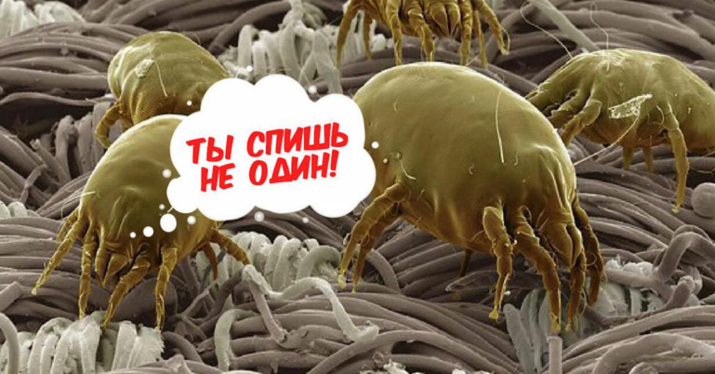 ковры